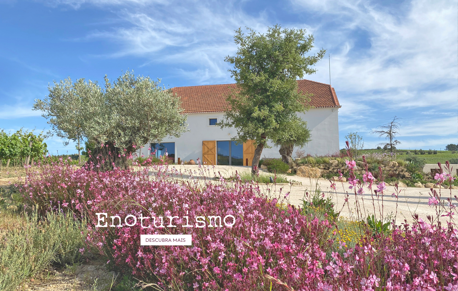 Enoturismo