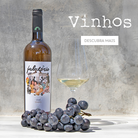 Vinha
