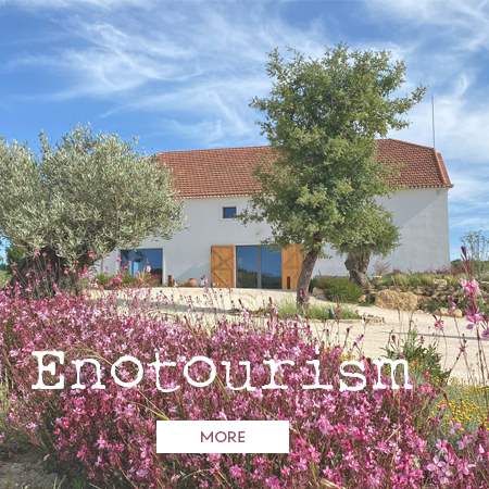 Enoturismo